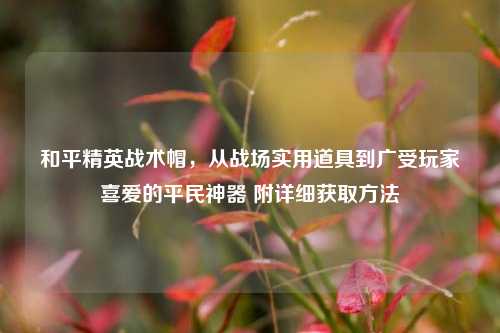 和平精英战术帽,从战场实用道具到广受玩家喜爱的平民神器 附详细获取方法