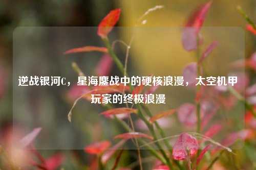 逆战银河C,星海鏖战中的硬核浪漫,太空机甲玩家的终极浪漫