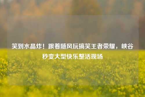 笑到水晶炸！跟着随风玩搞笑王者荣耀，峡谷秒变大型快乐整活现场