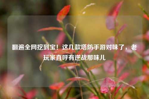 翻遍全网挖到宝！这几款塔防手游对味了，老玩家直呼有逆战那味儿