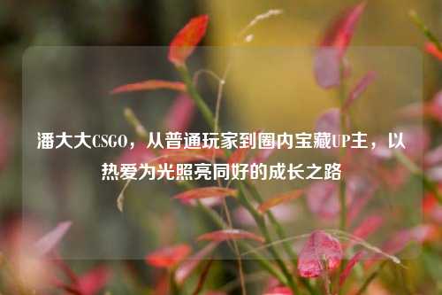 潘大大CSGO,从普通玩家到圈内宝藏UP主,以热爱为光照亮同好的成长之路