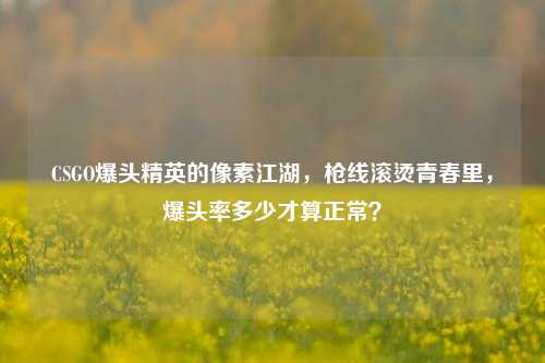 CSGO爆头精英的像素江湖,枪线滚烫青春里,爆头率多少才算正常?