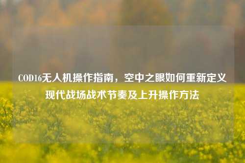 COD16无人机操作指南，空中之眼如何重新定义现代战场战术节奏及上升操作方法