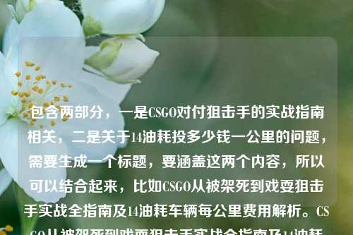 包含两部分,一是CSGO对付狙击手的实战指南相关,二是关于14油耗投多少钱一公里的问题,需要生成一个标题,要涵盖这两个内容,所以可以结合起来,比如CSGO从被架死到戏耍狙击手实战全指南及14油耗车辆每公里费用解析。CSGO从被架死到戏耍狙击手实战全指南及14油耗车辆每公里费用解析