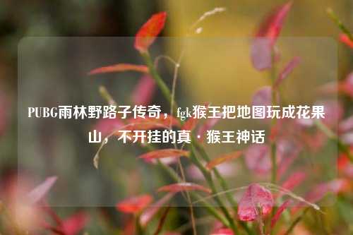 PUBG雨林野路子传奇，fgk猴王把地图玩成花果山，不开挂的真·猴王神话