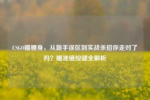 CSGO瞄腰身，从新手误区到实战杀招你走对了吗？瞄准镜按键全解析