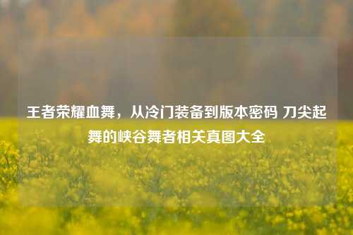 王者荣耀血舞,从冷门装备到版本密码 刀尖起舞的峡谷舞者相关真图大全