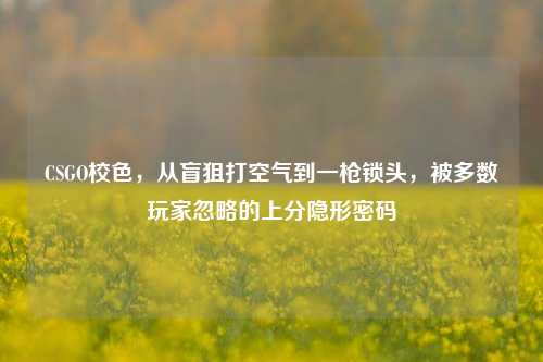 CSGO校色，从盲狙打空气到一枪锁头，被多数玩家忽略的上分隐形密码