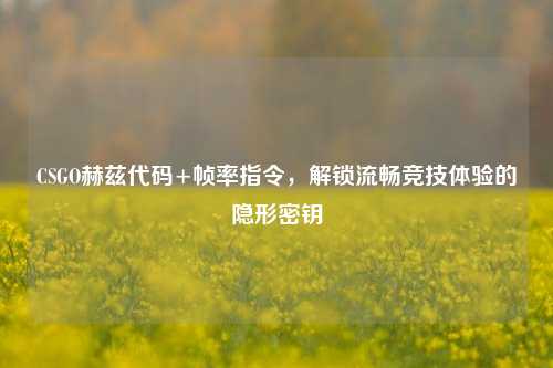 CSGO赫兹代码+帧率指令，解锁流畅竞技体验的隐形密钥
