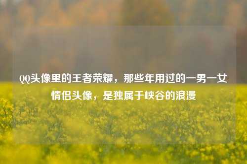 QQ头像里的王者荣耀，那些年用过的一男一女情侣头像，是独属于峡谷的浪漫