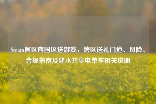 Steam阿区向国区送游戏,跨区送礼门道、风险、合规指南及建水共享电单车相关说明