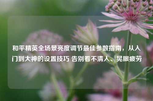 和平精英全场景亮度调节最佳参数指南，从入门到大神的设置技巧 告别看不清人、晃眼疲劳