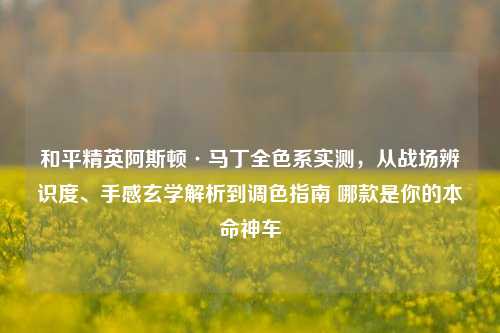 和平精英阿斯顿·马丁全色系实测,从战场辨识度、手感玄学解析到调色指南 哪款是你的本命神车