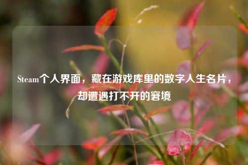 Steam个人界面，藏在游戏库里的数字人生名片，却遭遇打不开的窘境