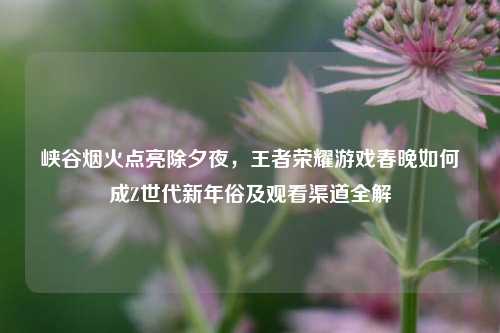 峡谷烟火点亮除夕夜，王者荣耀游戏春晚如何成Z世代新年俗及观看渠道全解