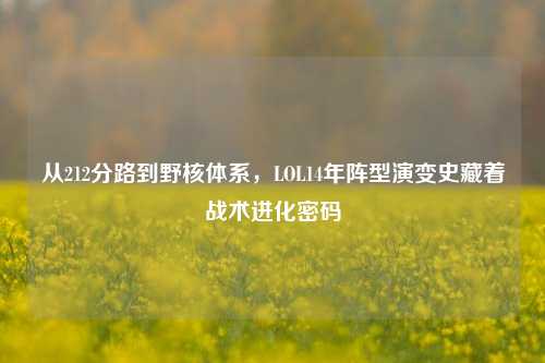 从212分路到野核体系，LOL14年阵型演变史藏着战术进化密码
