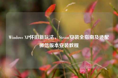 Windows XP怀旧新玩法，Steam安装全指南及适配微信版本安装教程