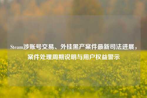 Steam涉账号交易、外挂黑产案件最新司法进展，案件处理周期说明与用户权益警示