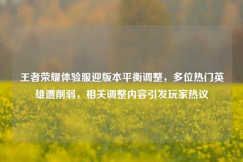 王者荣耀体验服迎版本平衡调整，多位热门英雄遭削弱，相关调整内容引发玩家热议