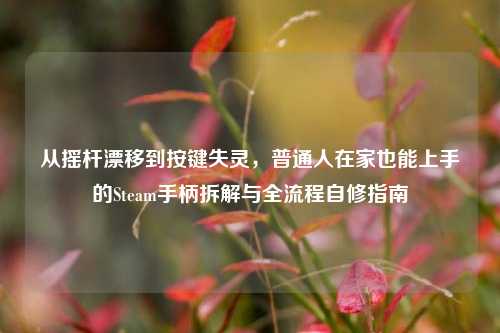 从摇杆漂移到按键失灵,普通人在家也能上手的Steam手柄拆解与全流程自修指南