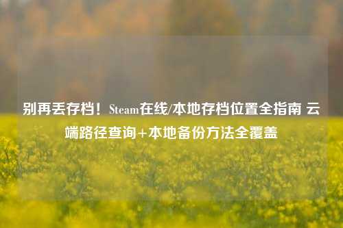 别再丢存档！Steam在线/本地存档位置全指南 云端路径查询+本地备份方法全覆盖