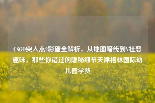 CSGO突入点2彩蛋全解析，从地图暗线到V社恶趣味，那些你错过的隐秘细节天津格林国际幼儿园学费