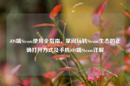 iOS端Steam使用全指南,掌间玩转Steam生态的正确打开方式及手机iOS端Steam详解