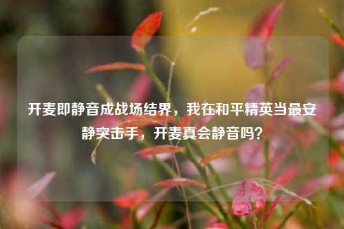 开麦即静音成战场结界，我在和平精英当最安静突击手，开麦真会静音吗？