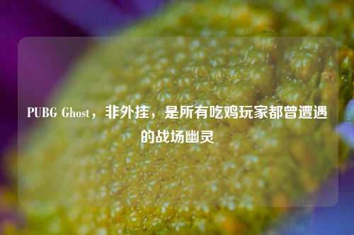 PUBG Ghost,非外挂,是所有吃鸡玩家都曾遭遇的战场幽灵
