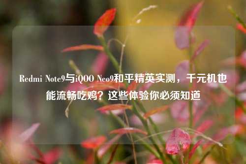 Redmi Note9与iQOO Neo9和平精英实测，千元机也能流畅吃鸡？这些体验你必须知道