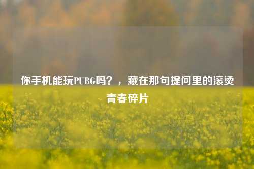 你手机能玩PUBG吗？，藏在那句提问里的滚烫青春碎片