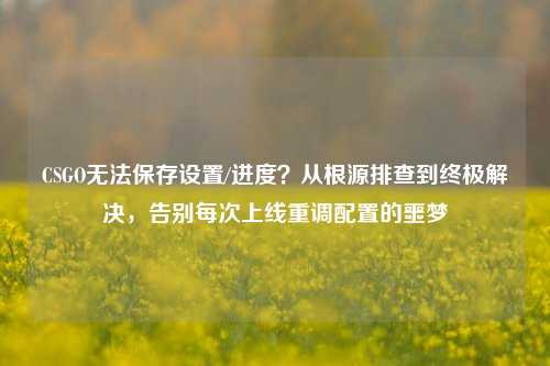 CSGO无法保存设置/进度？从根源排查到终极解决，告别每次上线重调配置的噩梦