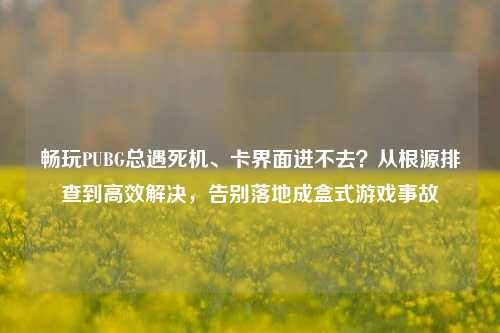 畅玩PUBG总遇死机、卡界面进不去?从根源排查到高效解决,告别落地成盒式游戏事故