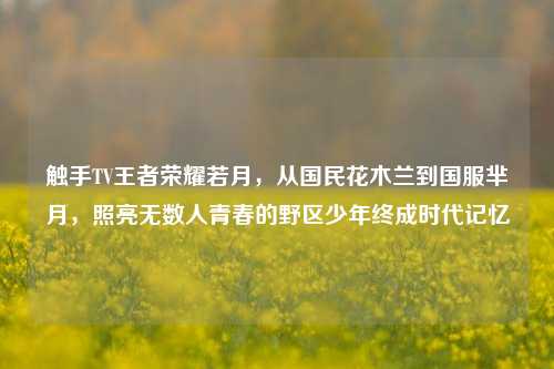 触手TV王者荣耀若月，从国民花木兰到国服芈月，照亮无数人青春的野区少年终成时代记忆