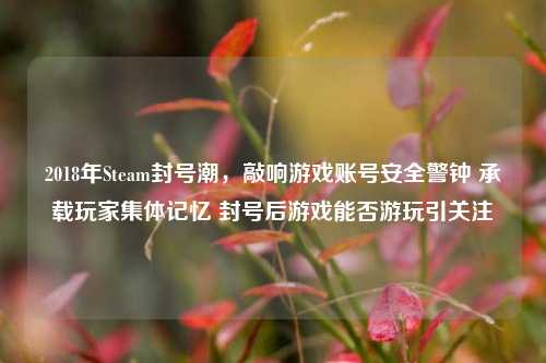 2018年Steam封号潮,敲响游戏账号安全警钟 承载玩家集体记忆 封号后游戏能否游玩引关注