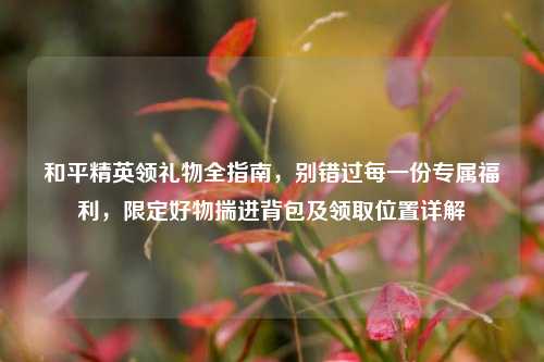 和平精英领礼物全指南，别错过每一份专属福利，限定好物揣进背包及领取位置详解