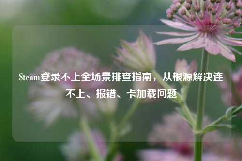 Steam登录不上全场景排查指南,从根源解决连不上、报错、卡加载问题