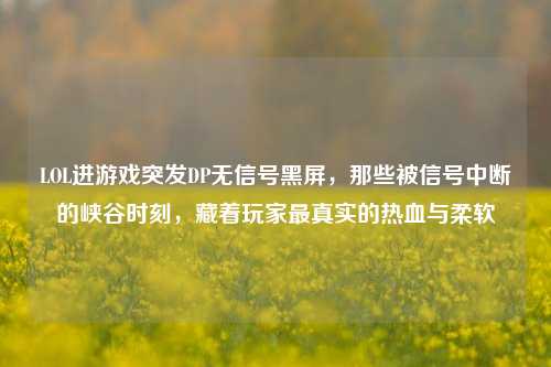 LOL进游戏突发DP无信号黑屏,那些被信号中断的峡谷时刻,藏着玩家最真实的热血与柔软