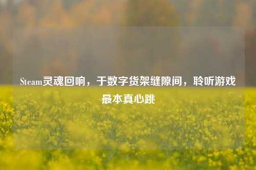 Steam灵魂回响，于数字货架缝隙间，聆听游戏最本真心跳