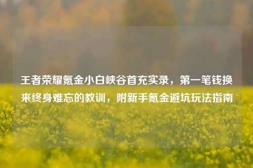 王者荣耀氪金小白峡谷首充实录，第一笔钱换来终身难忘的教训，附新手氪金避坑玩法指南