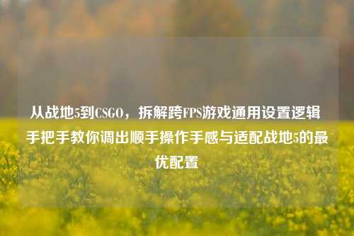 从战地5到CSGO，拆解跨FPS游戏通用设置逻辑 手把手教你调出顺手操作手感与适配战地5的最优配置