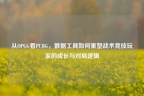 从OPGG看PUBG，数据工具如何重塑战术竞技玩家的成长与对局逻辑
