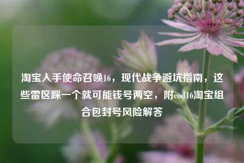 淘宝入手使命召唤16,现代战争避坑指南,这些雷区踩一个就可能钱号两空,附cod16淘宝组合包封号风险解答