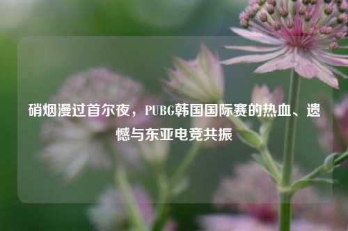 硝烟漫过首尔夜，PUBG韩国国际赛的热血、遗憾与东亚电竞共振