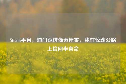 Steam平台,油门踩进像素迷雾,我在惊魂公路上捡回半条命