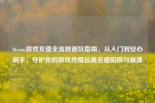 Steam游戏充值全流程避坑指南，从入门到安心剁手，守护你的游戏热情远离充值陷阱与崩溃