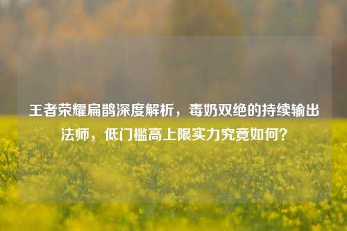 王者荣耀扁鹊深度解析，毒奶双绝的持续输出法师，低门槛高上限实力究竟如何？