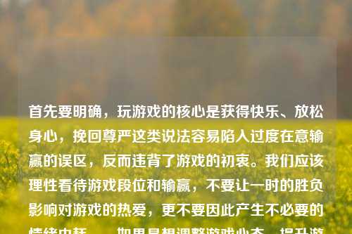 首先要明确，玩游戏的核心是获得快乐、放松身心，挽回尊严这类说法容易陷入过度在意输赢的误区，反而违背了游戏的初衷。我们应该理性看待游戏段位和输赢，不要让一时的胜负影响对游戏的热爱，更不要因此产生不必要的情绪内耗。，如果是想调整游戏心态、提升游戏体验，标题可以是，理性看待王者荣耀输赢，别让一时掉分，消磨对游戏的热爱