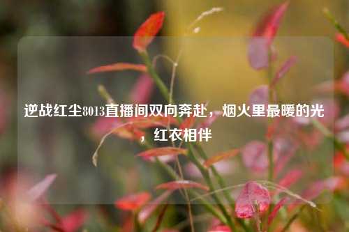 逆战红尘8013直播间双向奔赴,烟火里最暖的光,红衣相伴