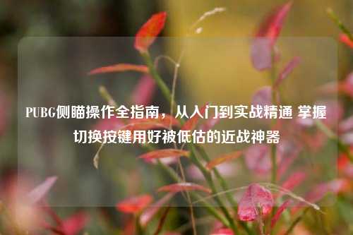 PUBG侧瞄操作全指南,从入门到实战精通 掌握切换按键用好被低估的近战神器